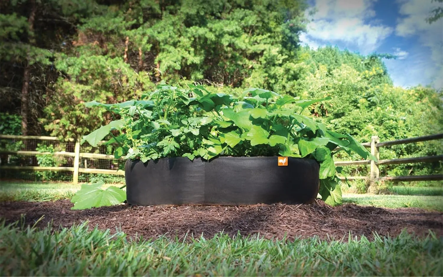 4 ft X 4 ft Victory 8 EZ-GRO Raised Garden Bed Big Square Grow Your OWN No Assembly