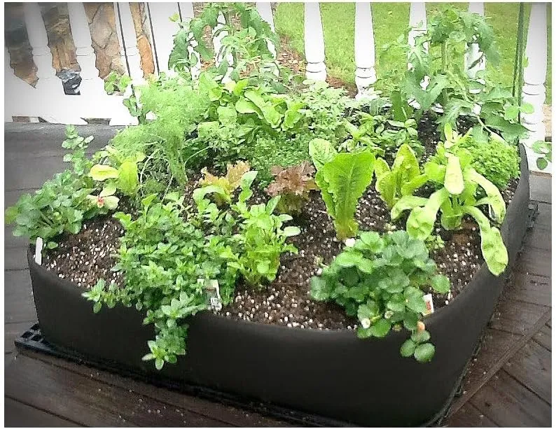 4 ft X 4 ft Victory 8 EZ-GRO Raised Garden Bed Big Square Grow Your OWN No Assembly