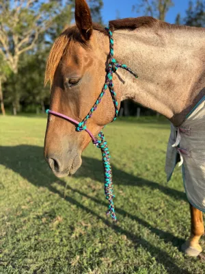 Cowboy Halter with Lariat Noseband - Purple, Aqua & Brown
