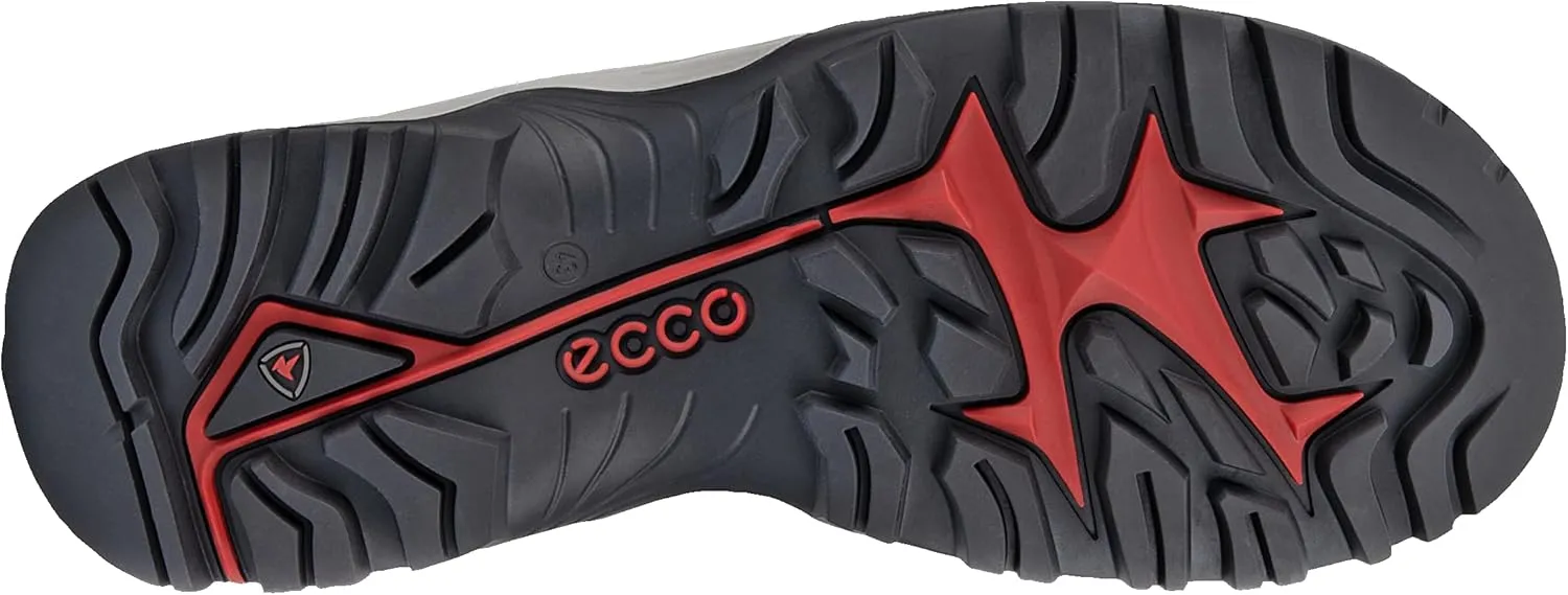 ECCO Men's Offroad Cruiser Lace Up Hiking Shoe