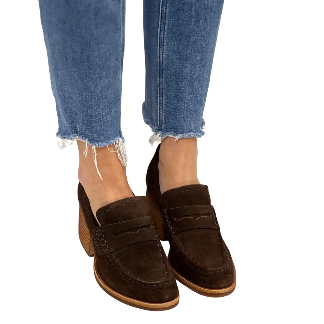 MODESTE in Dark Brown