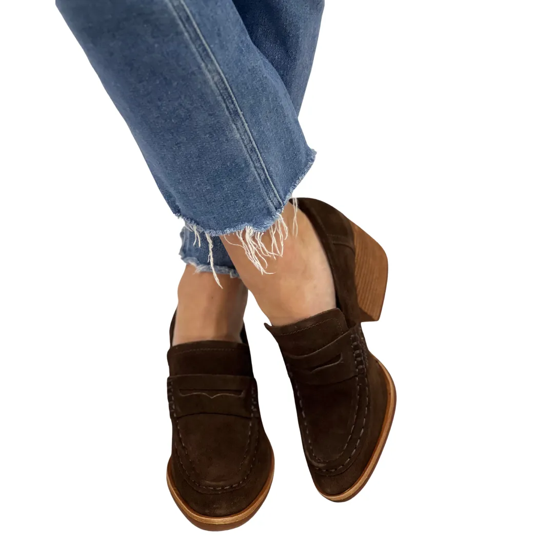MODESTE in Dark Brown