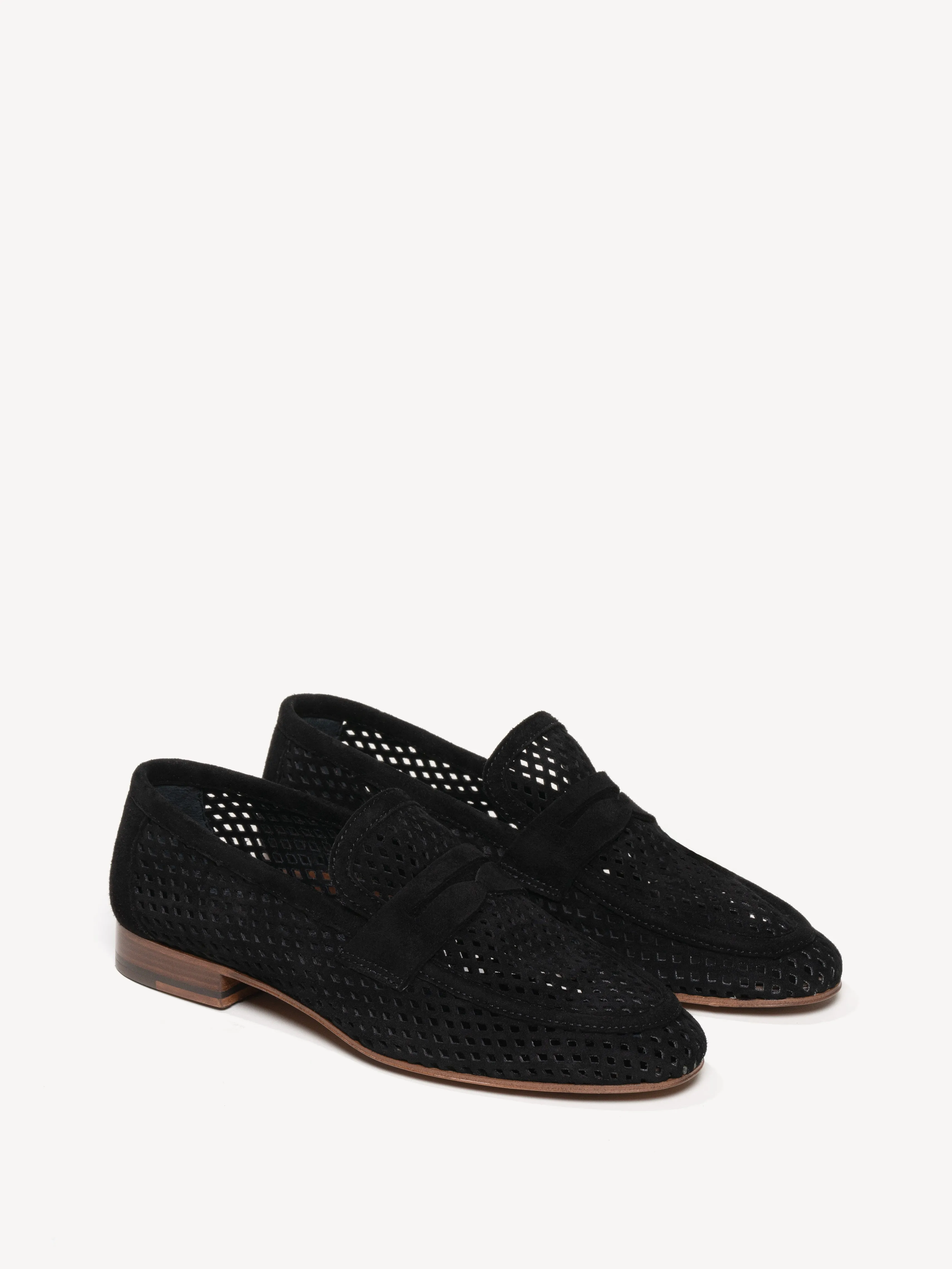 The Sacca Donna Lattice