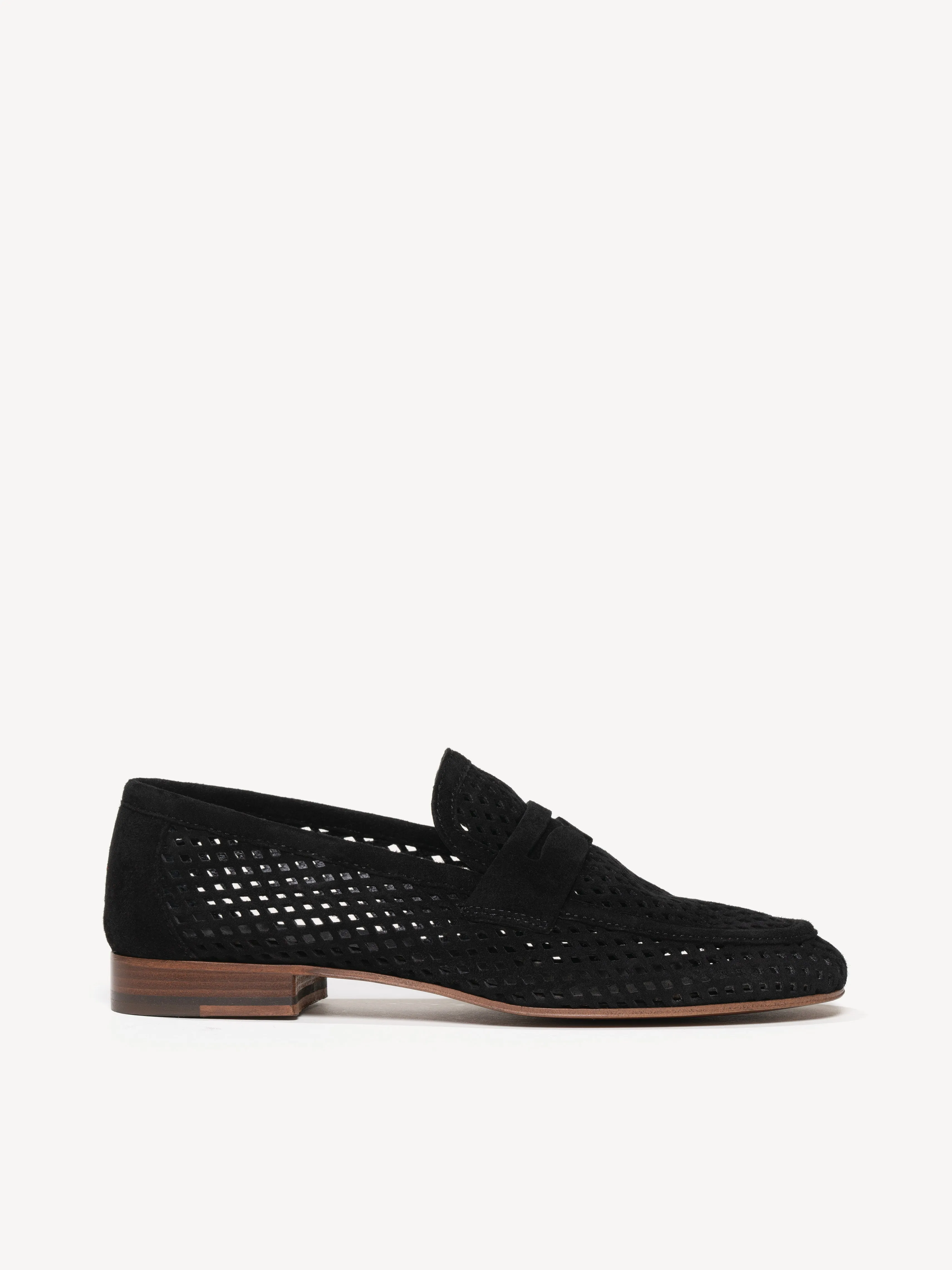 The Sacca Donna Lattice
