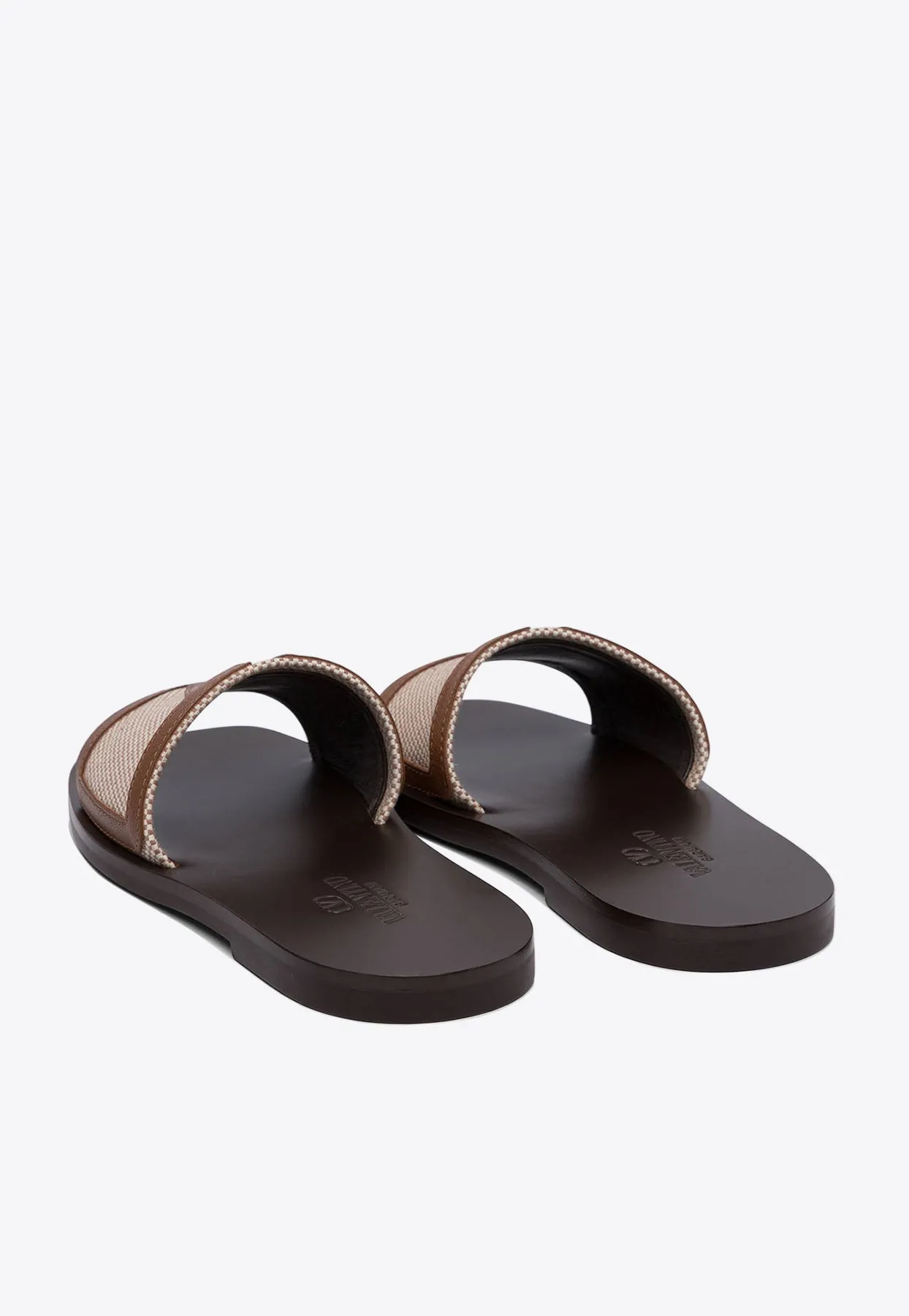 VLogo Canvas Slides
