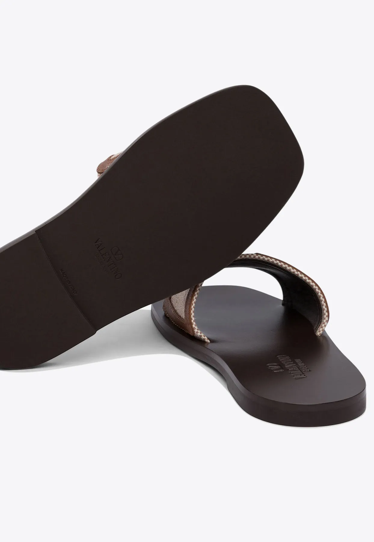 VLogo Canvas Slides