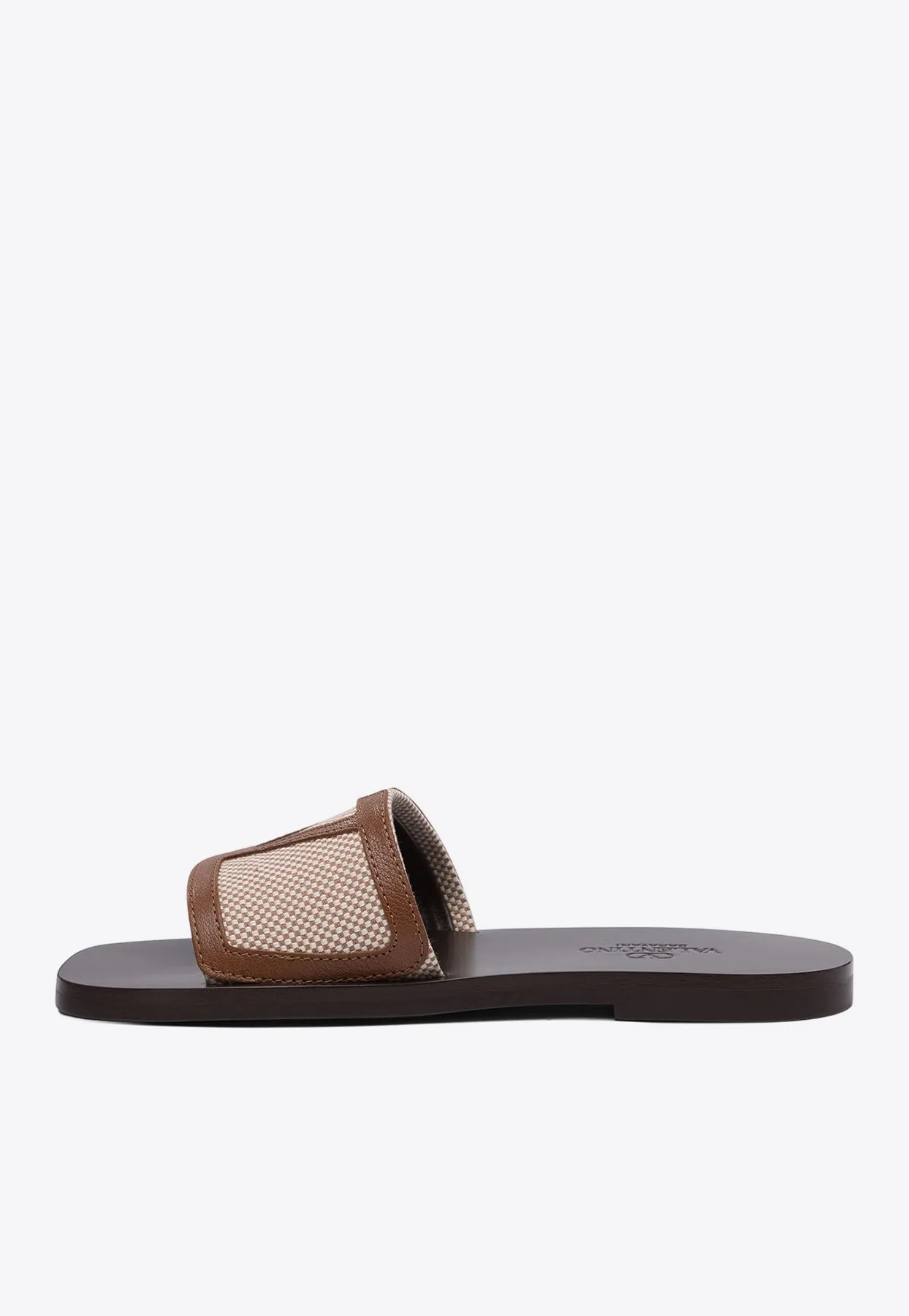 VLogo Canvas Slides