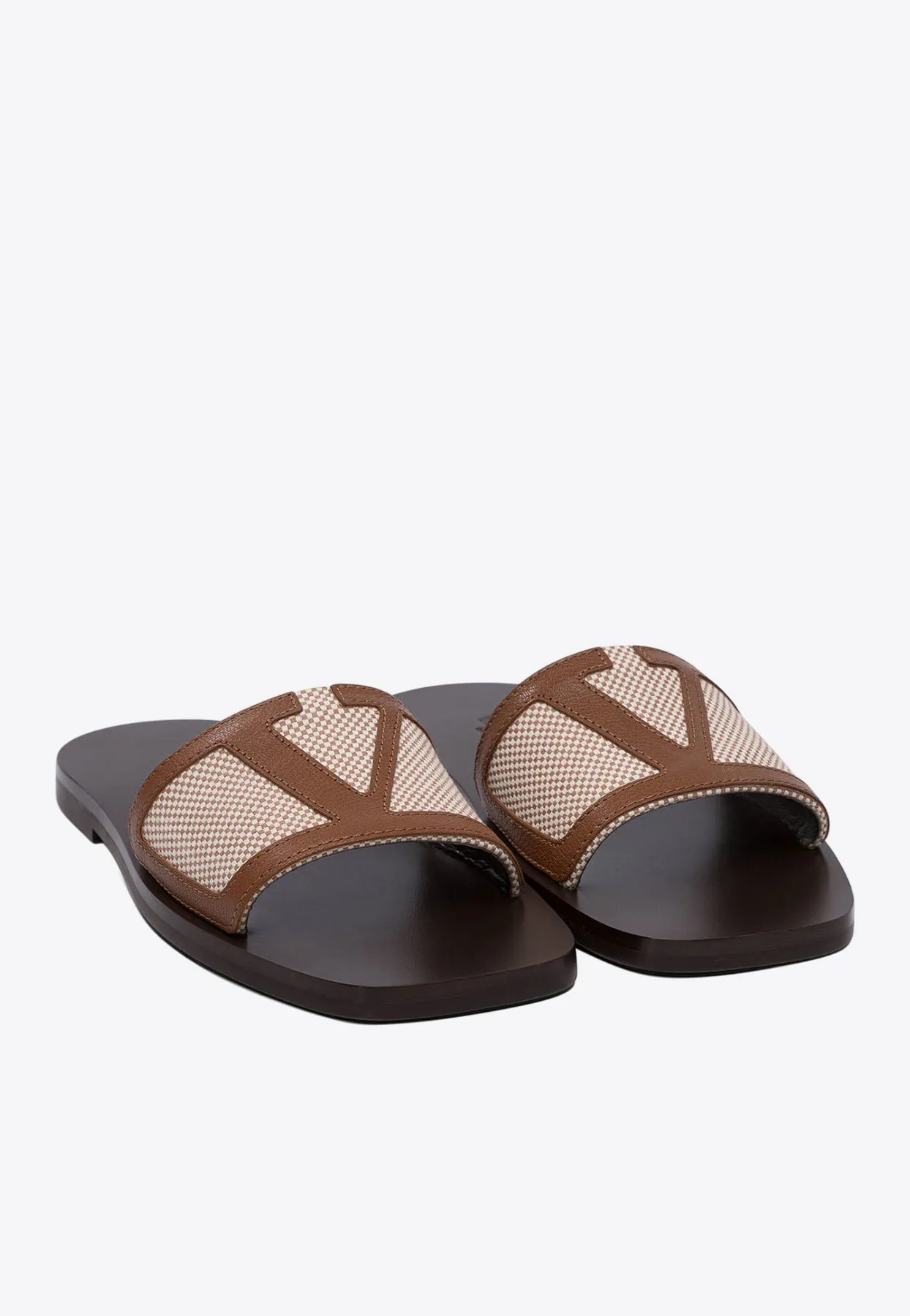 VLogo Canvas Slides